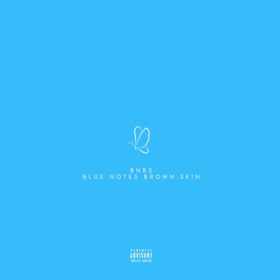 Blue Notes Brown Skin