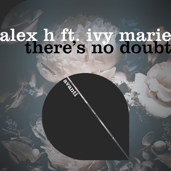 There’s No Doubt (feat. Ivy Marie) - Single