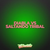 DIABLA VS SALTANDO TRIBAL artwork