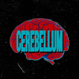 Cerebellum Kid Splinter