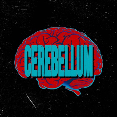 Cerebellum - Single