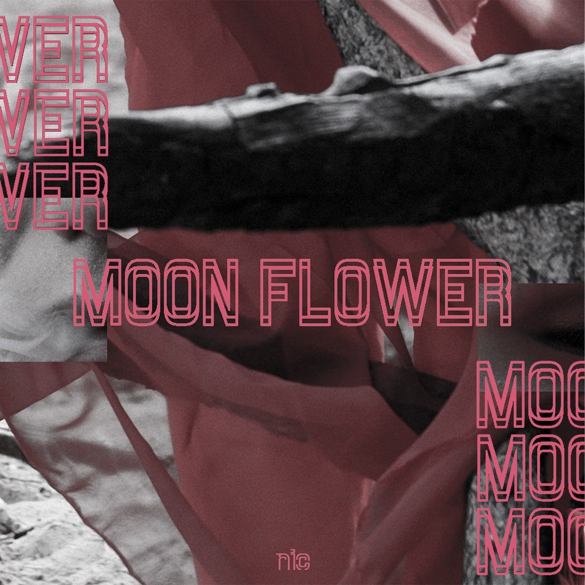 ‎moonflower - Single - Album by n!c - Apple Music