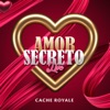 Amor Secreto (Live) - Single