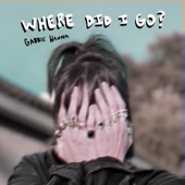 Where Did I Go? artwork