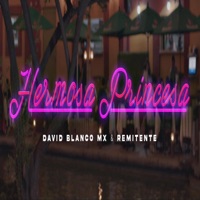 Hermosa Princesa (feat. Remitente Mx) - Single - David Blanco Mx