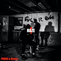 Haze - Single - PURGE & Reece