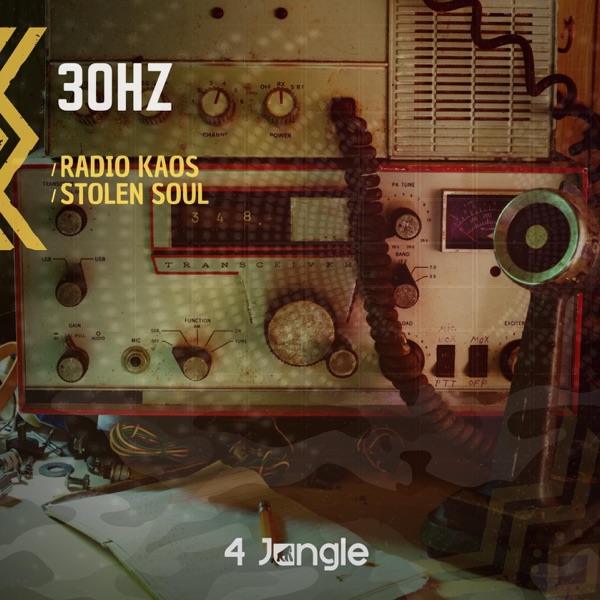 Radio Kaos / Stolen Soul - Single