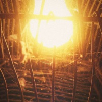 Bad - Single - BranKobran