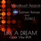 Like a Dream (Soliman Ramses Quick Vibe RMX) - Jyjwlz lyrics