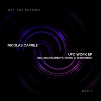 Ufo Work - Nicolas Caprile