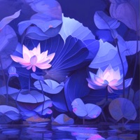 No Mud No Lotus - Single - harp beat