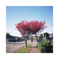 living warmth - Single - Zmeyev & T.Check