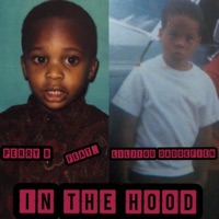 In the Hood (feat. LilJigg DaDoefien) - Single - Perry B