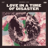 Love in a Time of Disaster