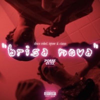 Brisa Nova (feat. igrow & CIANO) - Single - Disco Rebel