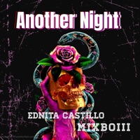 Another Night (feat. MixBoiii) - Single - Ednita Castillo