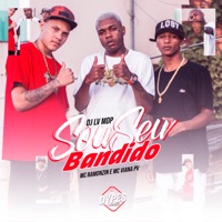 Sou Seu Bandido - Single - Dj Lv Mdp, Mc Ramonzin & Mc Viana Pv