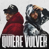 Quiere Volver artwork