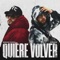 Quiere Volver artwork