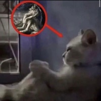 Rock - Single - Statma