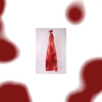 Body Bag - Single - Kaottics