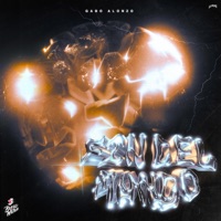 Fin Del Mundo - Single - Gabo Alonzo