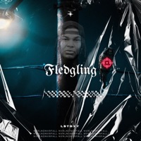 Fledgling (Childish) - Single - Lo$tBoy Cassius