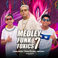 Medley Funk Foxics 7 - Single - Chelzinho no Beat, Leandro Fuxicando, Jadeu Leozin & Tadando gustavo