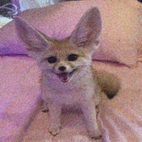 Resurrection - Single - Dazigus