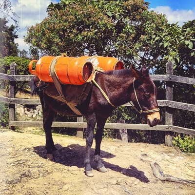 QUEPAJA - Single