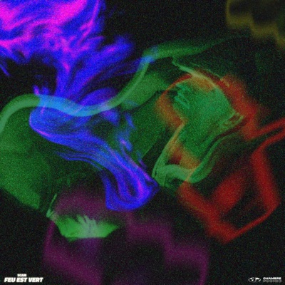 Feu est vert - Single