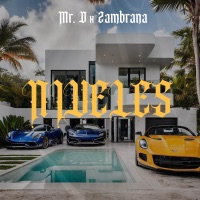 NIVELES - Single - MR. D & Zambrana