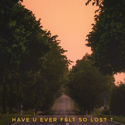 Have you ever felt so lost ? (feat. Lil author) - Single
