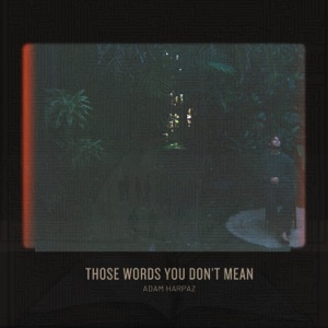 Those Words You Don't Mean - Single