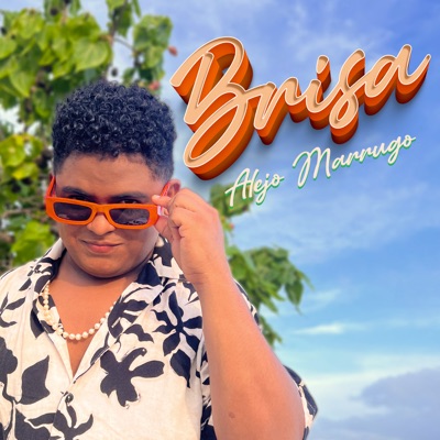 Brisa - Single