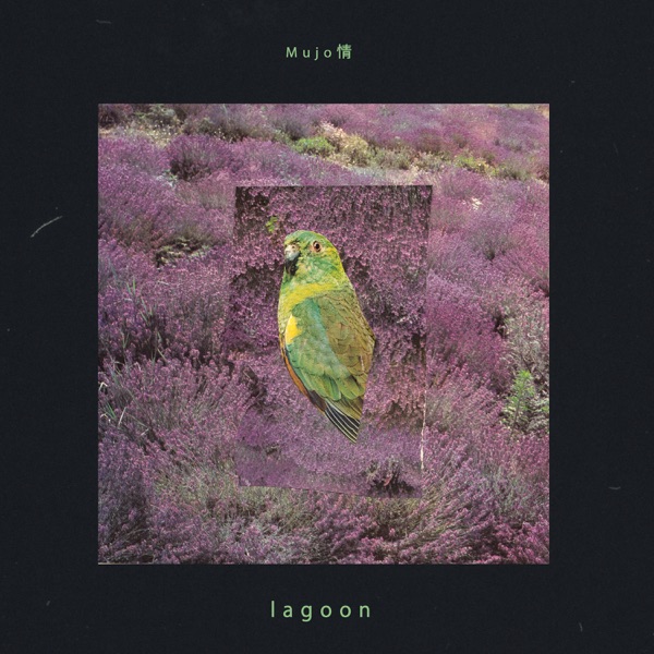 Lagoon