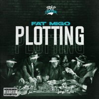 Plotting - Single - Fat Migo
