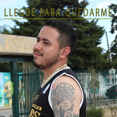 Llegue para Quedarme (feat. Aks Aviles) - Single