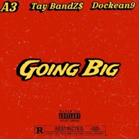 Goin Big (feat. Døckean9 & A3) - Single - Tay BandZ$