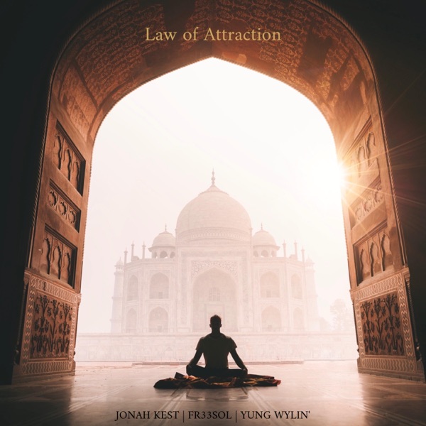 Law of Attraction (feat. Yung Wylin') - Single