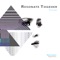 Fluxx (Disscut Remix) - Blue Amazon & Enrico Ponti lyrics