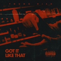 Got it Like That - Single - Young Rich