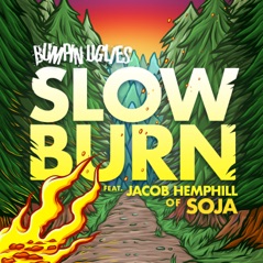 Slow Burn - Single
