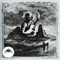 Aviator (2011 Remaster) - Michael Chapman lyrics