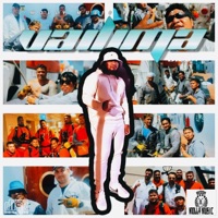 VAILIMA(Mikimiki Malie lau Kasi) - Single - Bison