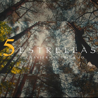 5 Estrellas (feat. Erick Jo) - Single