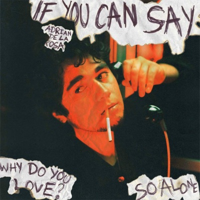 If You Can Say - Single