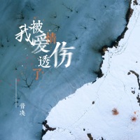 我被爱情伤透了心 - Single - 音决