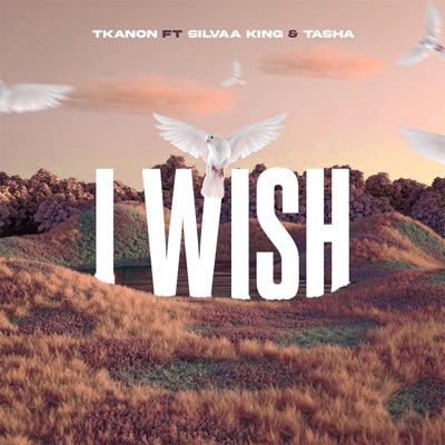I WISH (feat. Silvaa king & Tasha) - Single