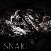 Snake artwork